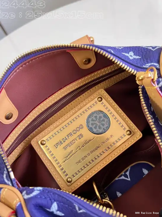 Aaa replica bags Vuitton 25 SPEEDY Louis 0603